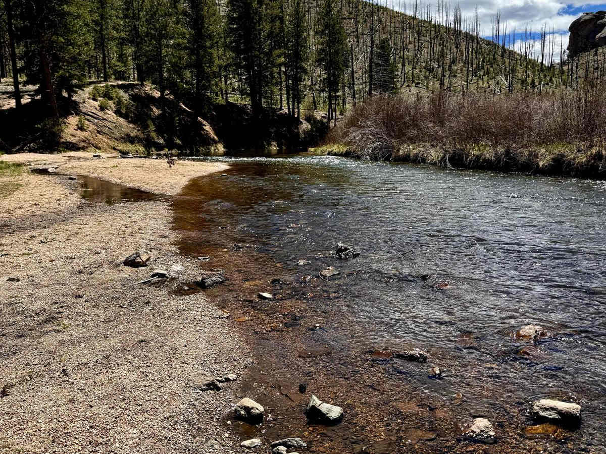 Metberry Gulch (FS 205) photo 3