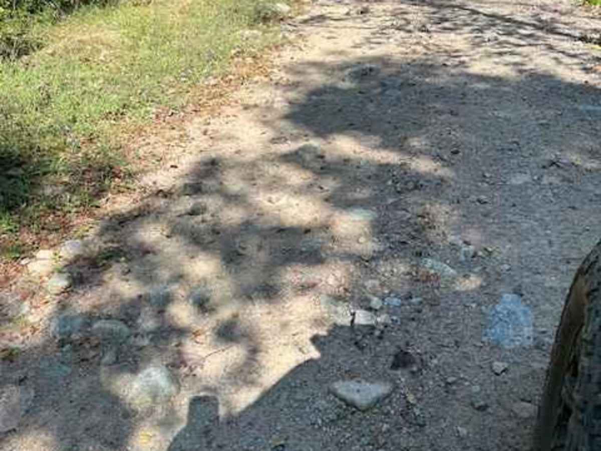 Picketville Road trail photo