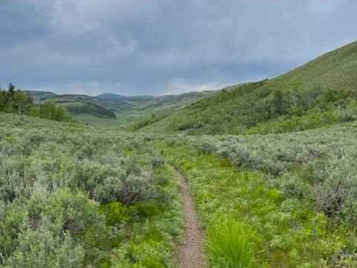 Goose Creek Single Track photo 3