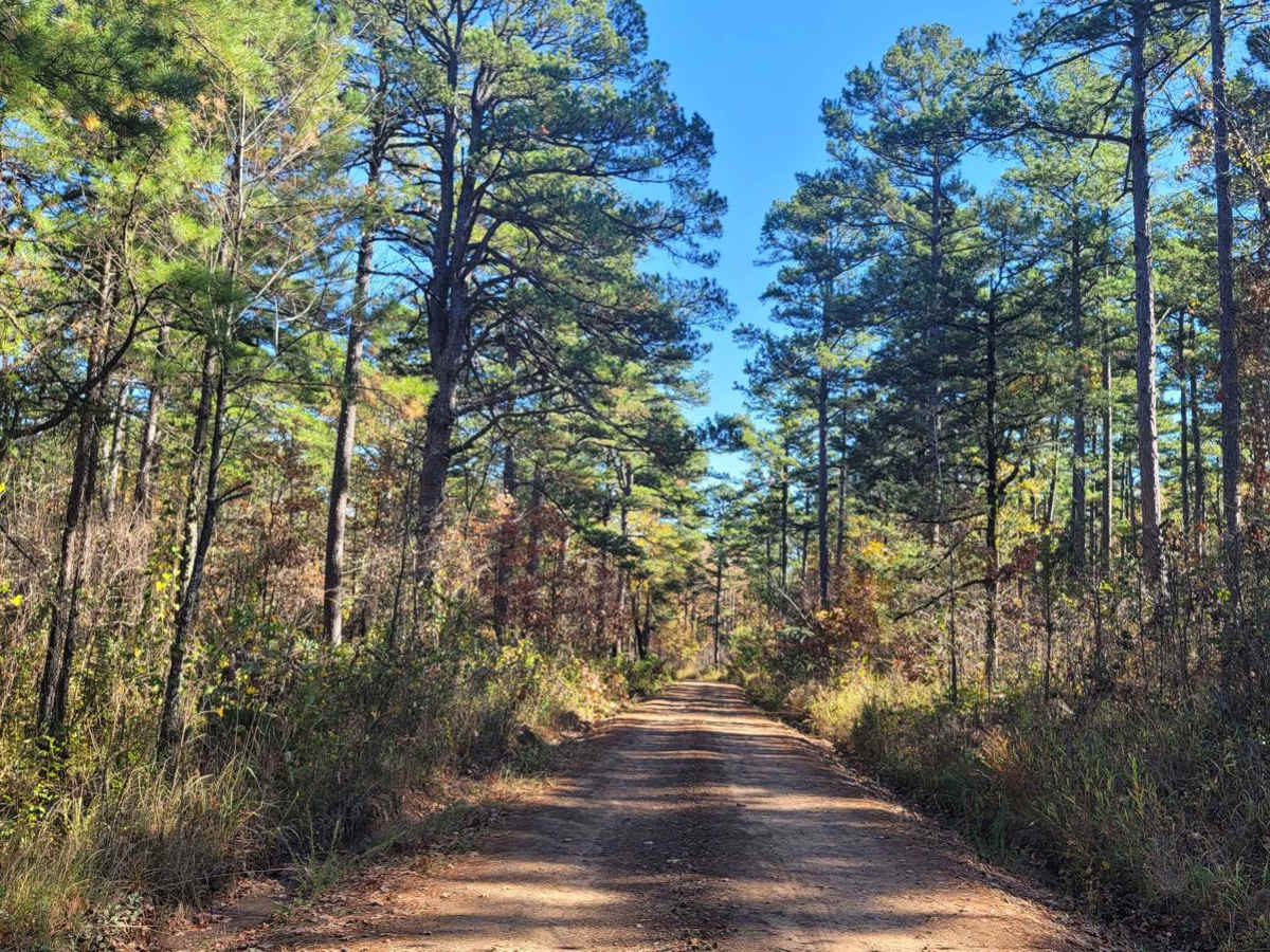 Haw Creek photo 2