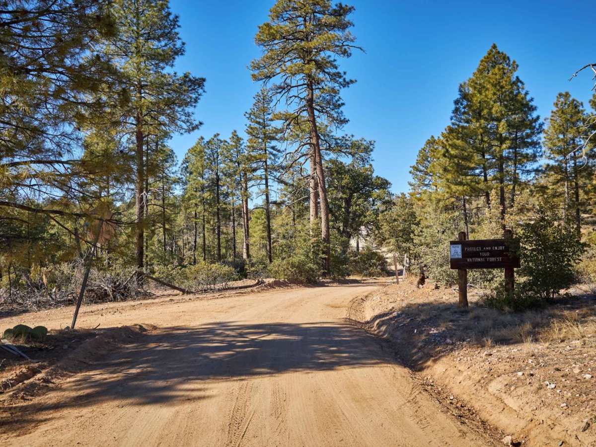 Seven Up trail photo