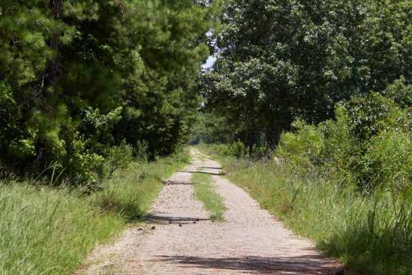 Outer Gregory Field Loop
