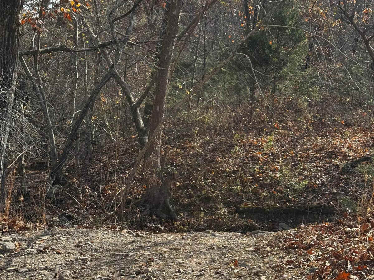 Maze Extra Credit trail photo