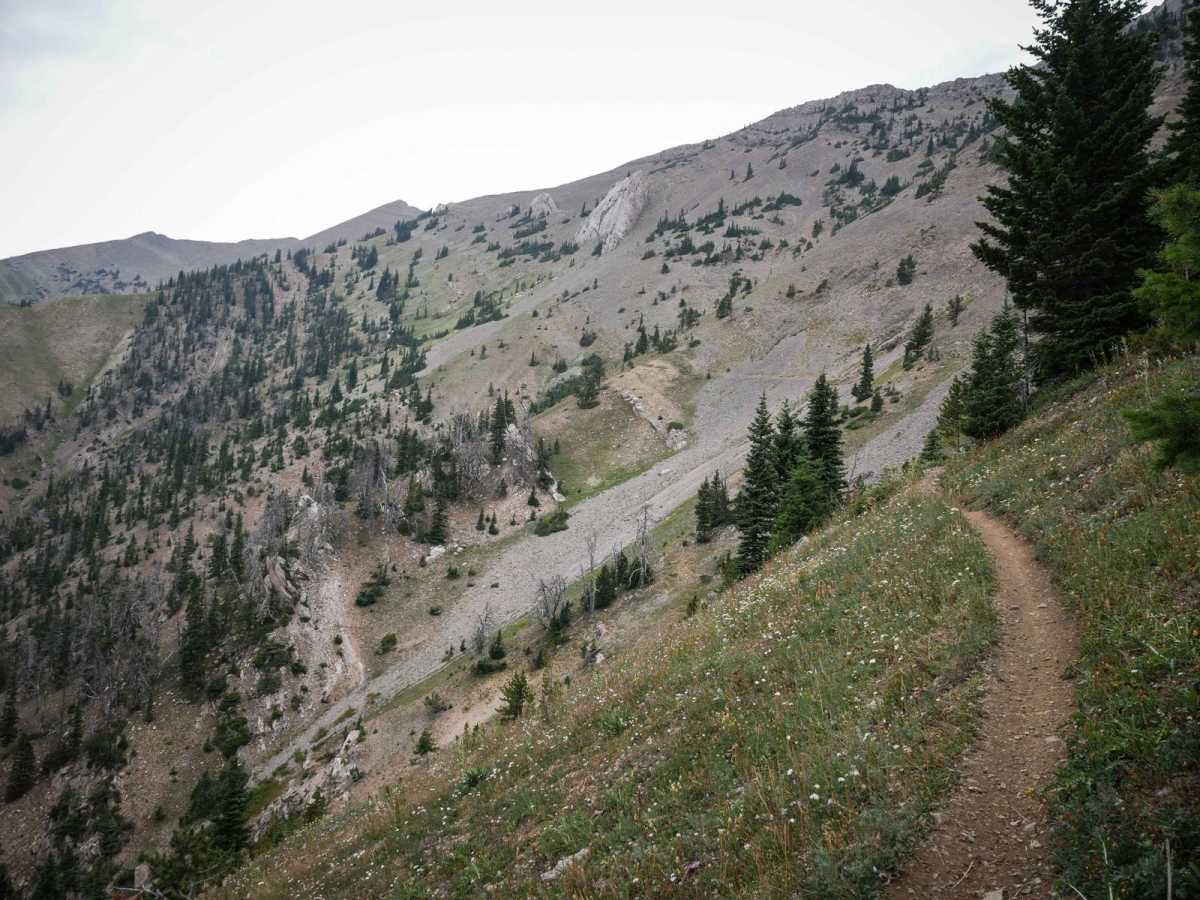 Bridger Ridge trail photo