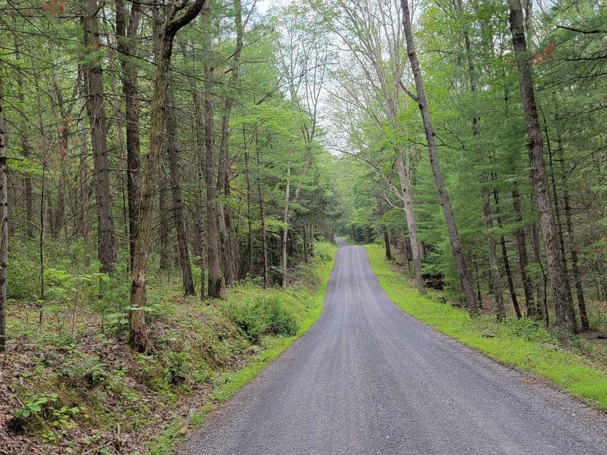 Havice Valley trail photo