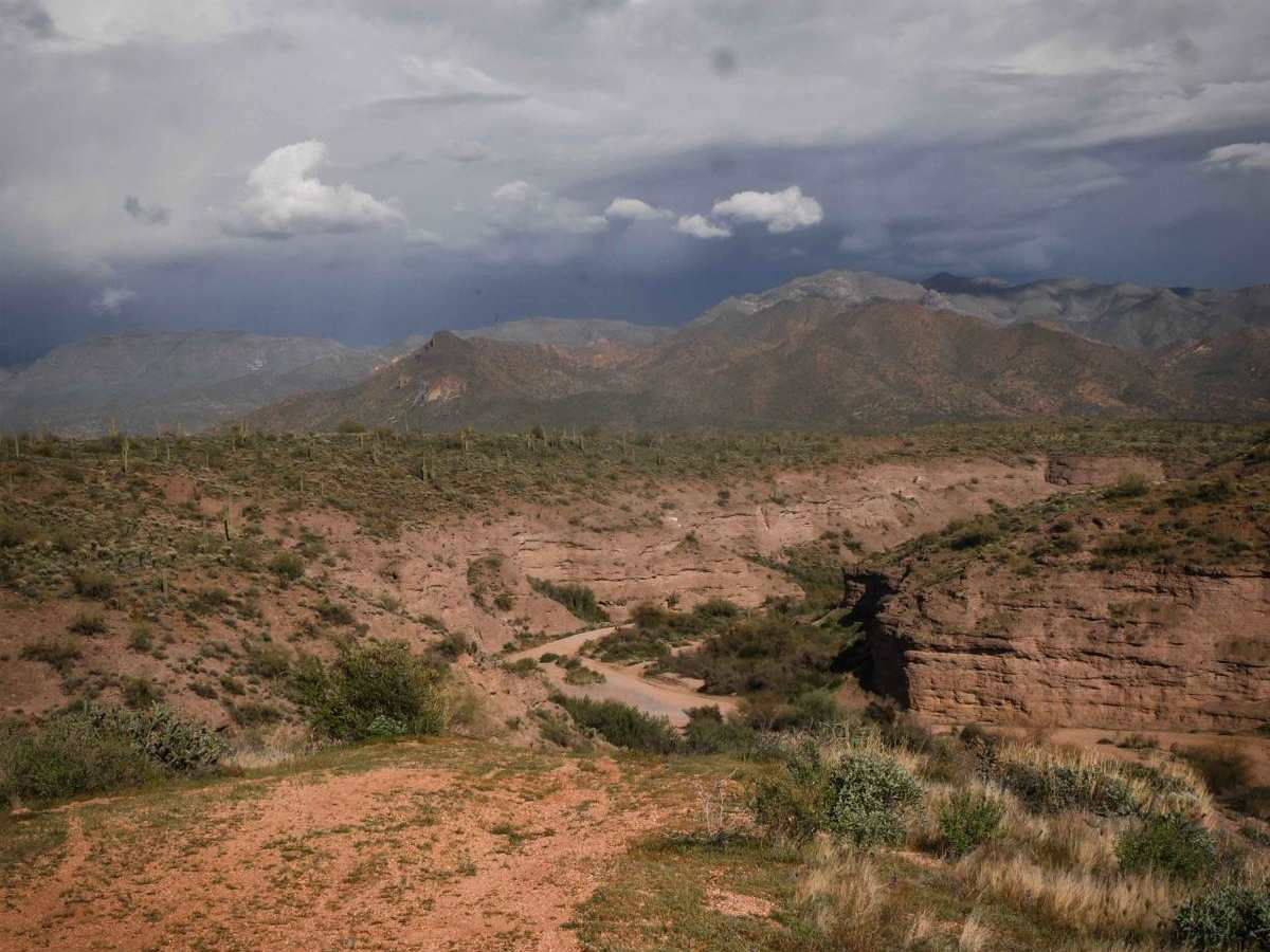 398 Powerline trail photo