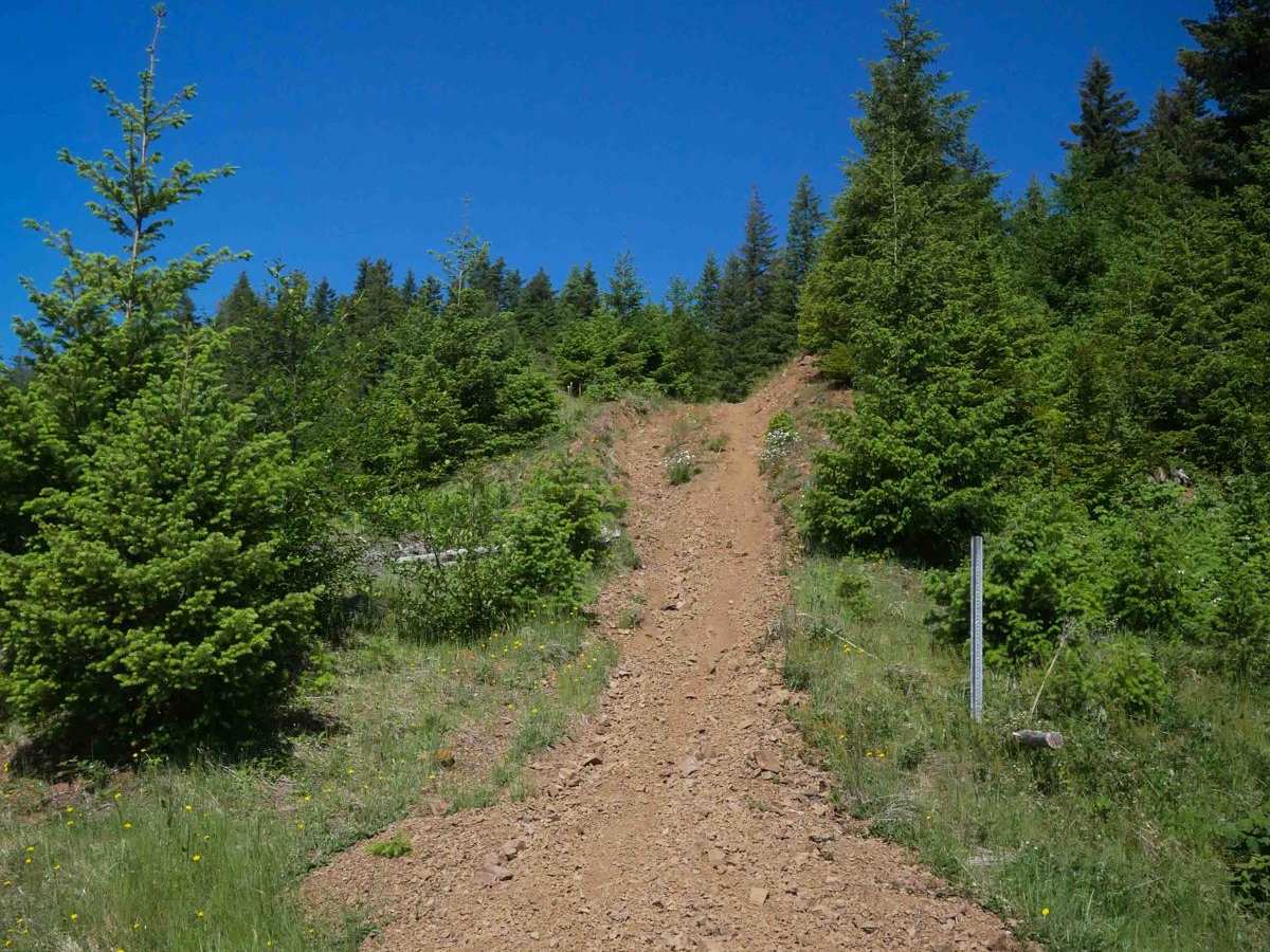 #119 trail photo