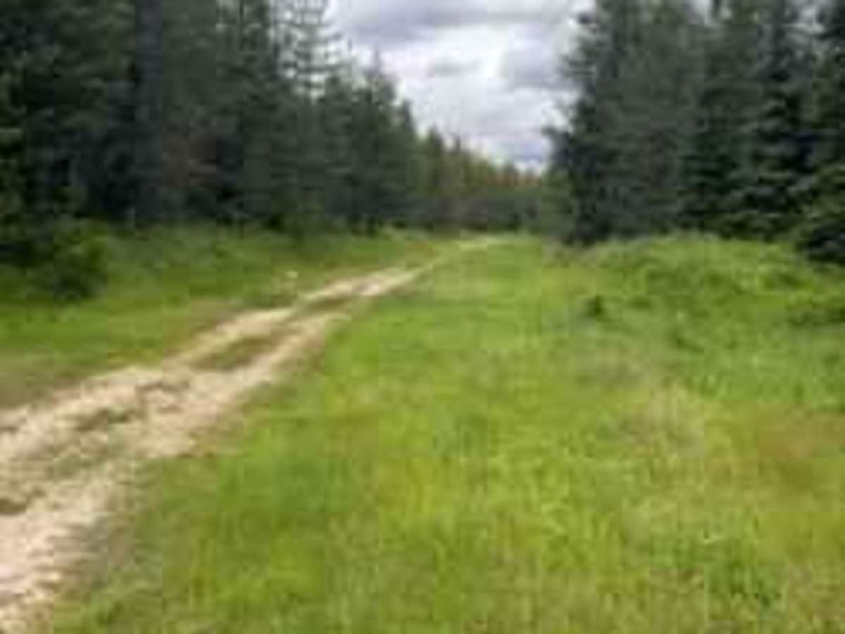 Akers-Excavation Trail 8240 photo 2