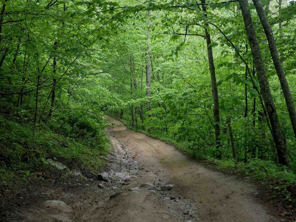 BM 28 trail photo