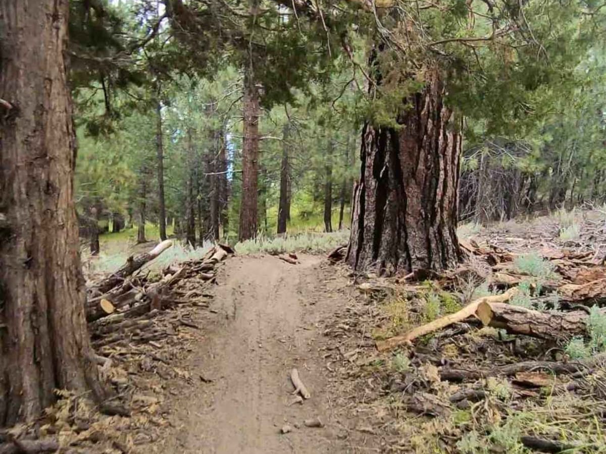 Campground Connector photo 5