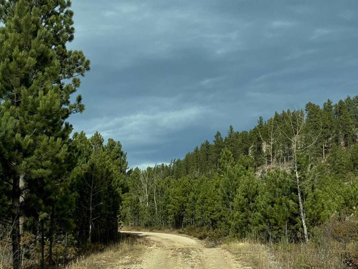 Hughes Draw & Horsethief Road photo 6