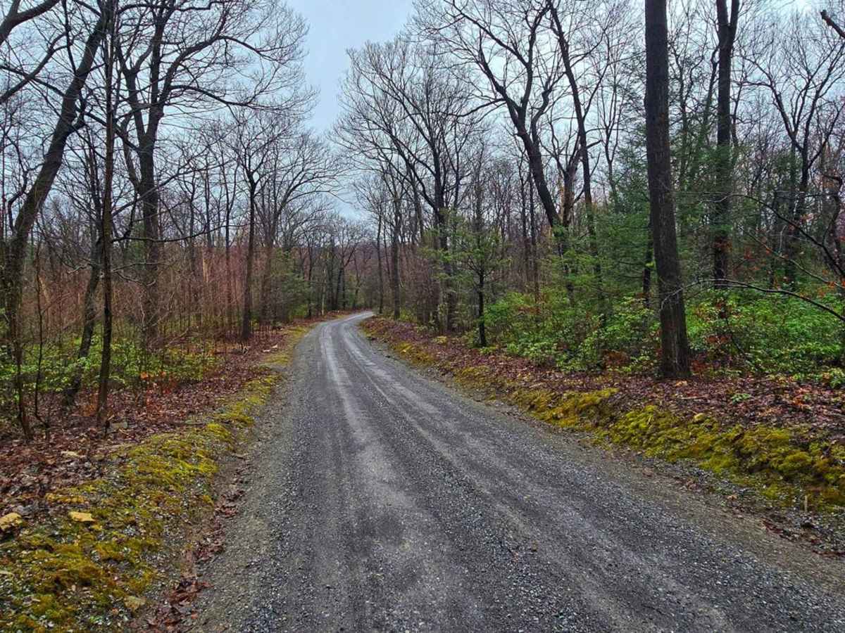 Cowpens Road photo 3