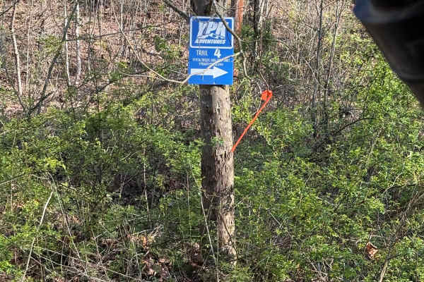 Trail 4