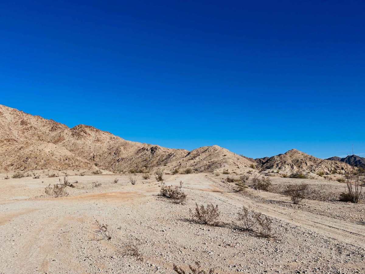 Blaisdell Rifle Range Road photo 5
