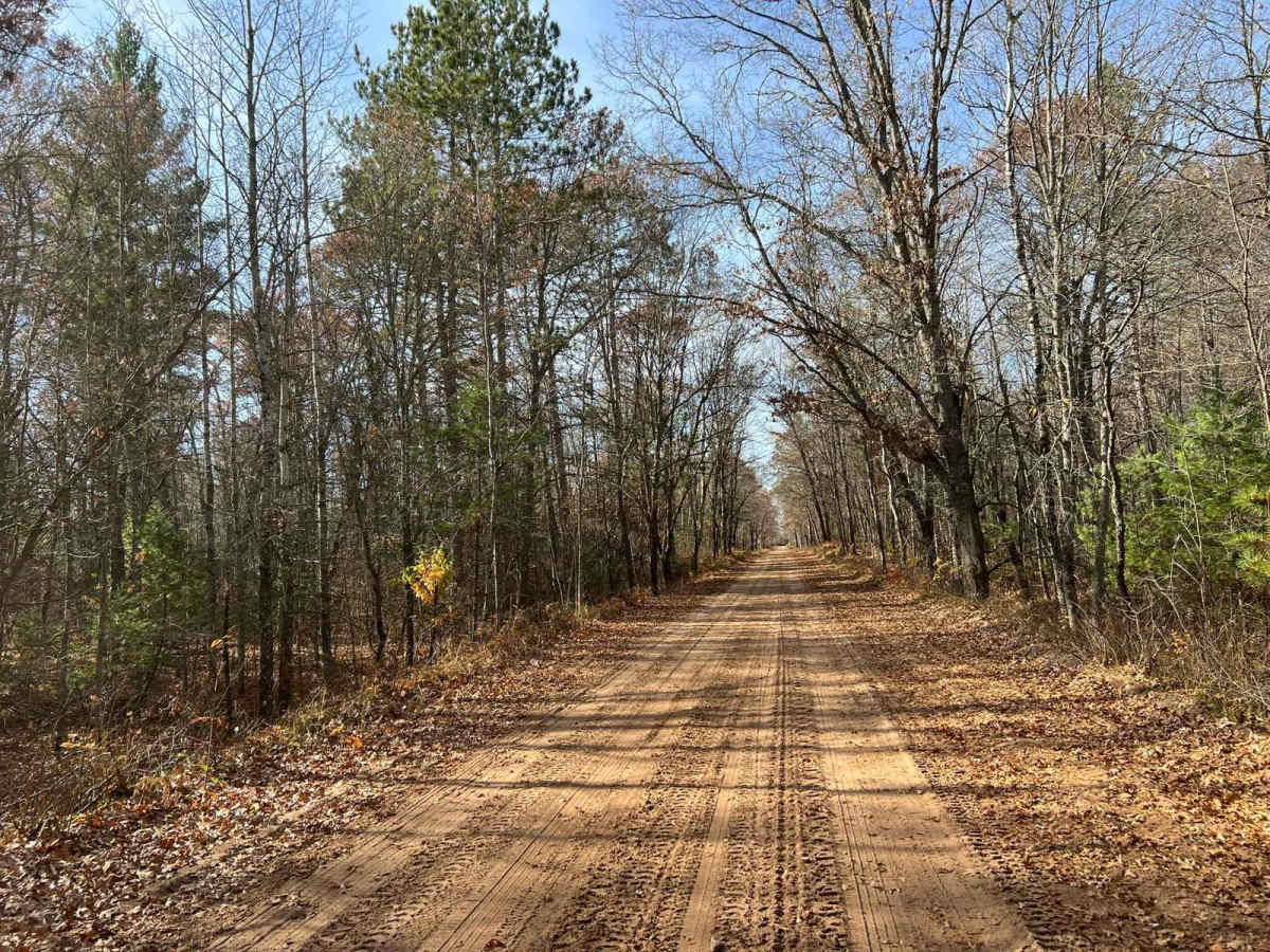 Marinette County Spur Lake Road F5 Trail photo 4
