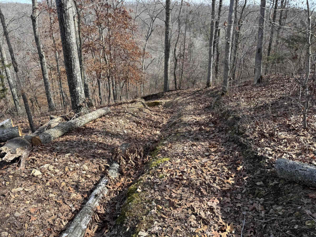 Red 374 trail photo