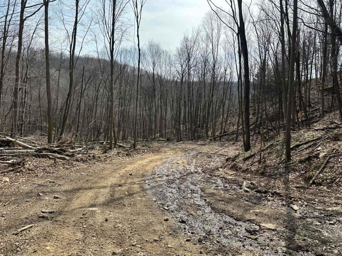 Ashland 8 trail photo