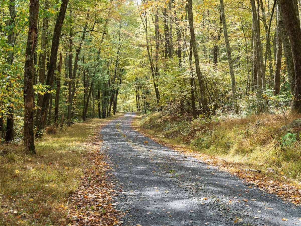 Greenlee Road photo 5