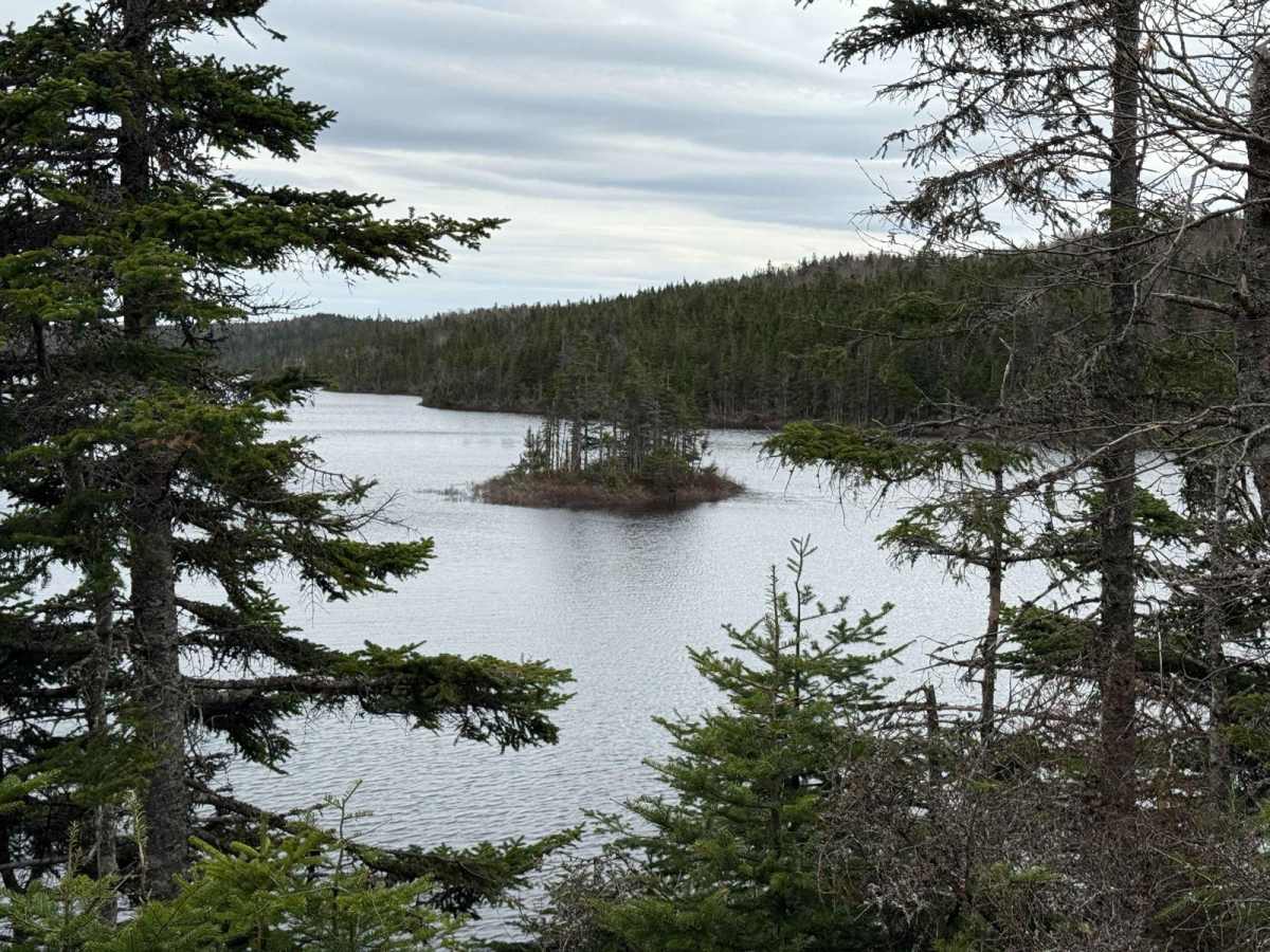 Pembroke Road trail photo
