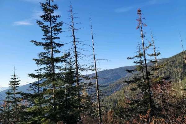 Sherlock Peak Byway