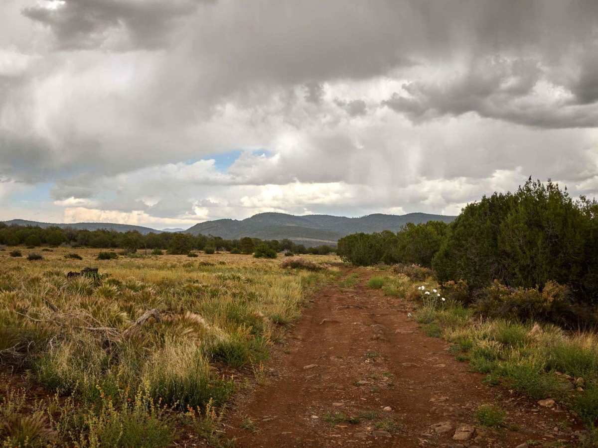Welch 35 Aux trail photo