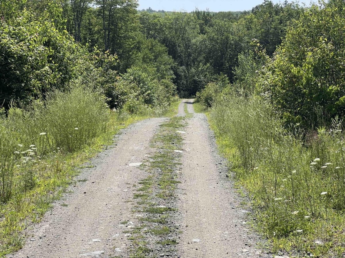Overlook Trail photo 3