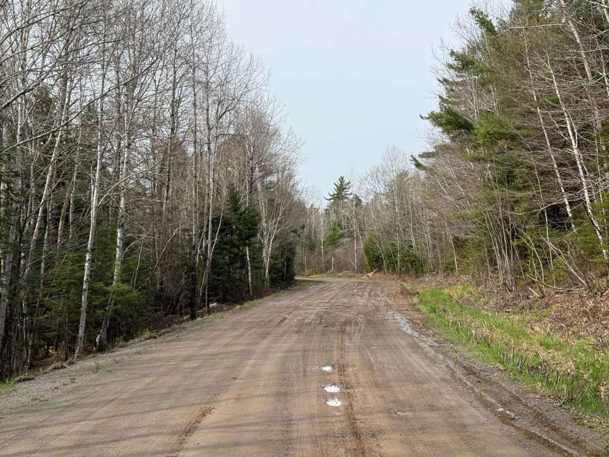 Mines Road photo 5