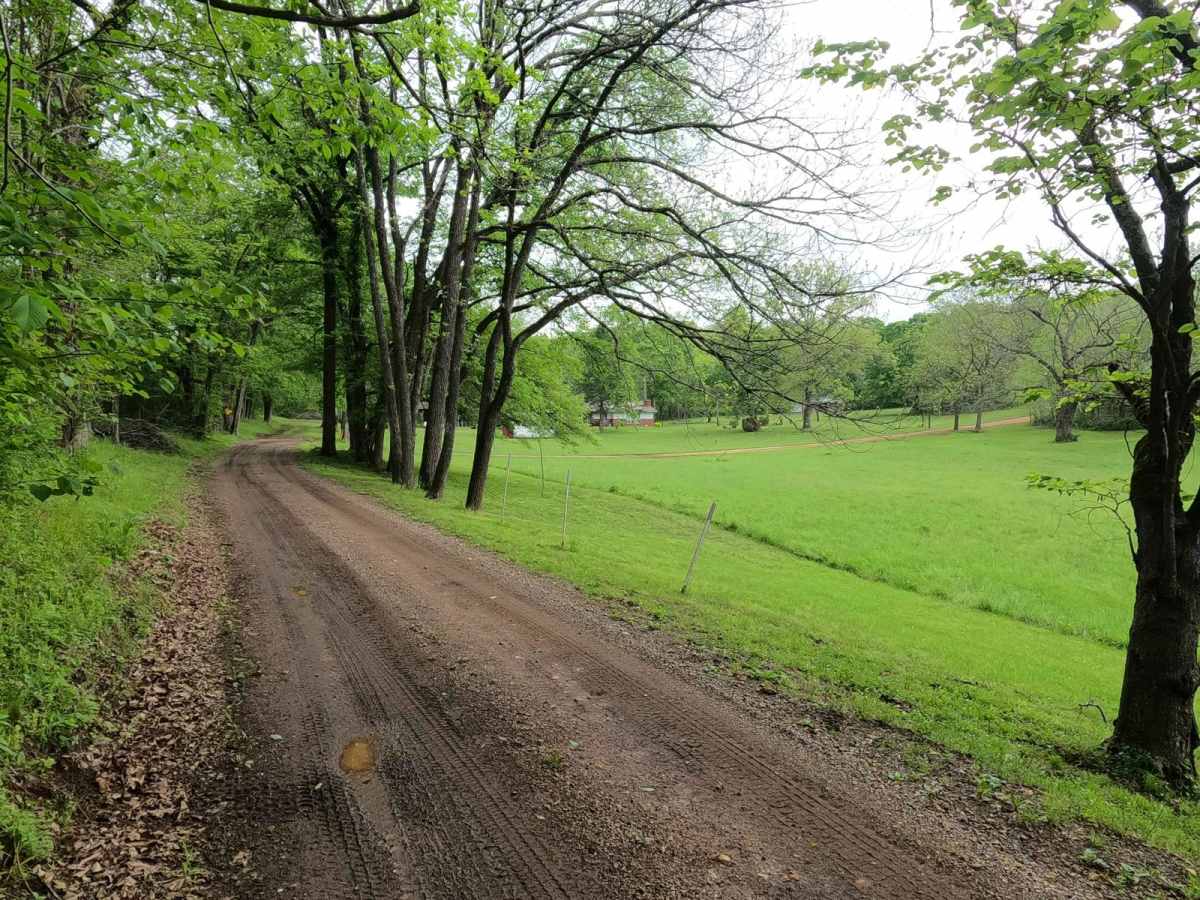 Murphy Cemetery Road photo 6