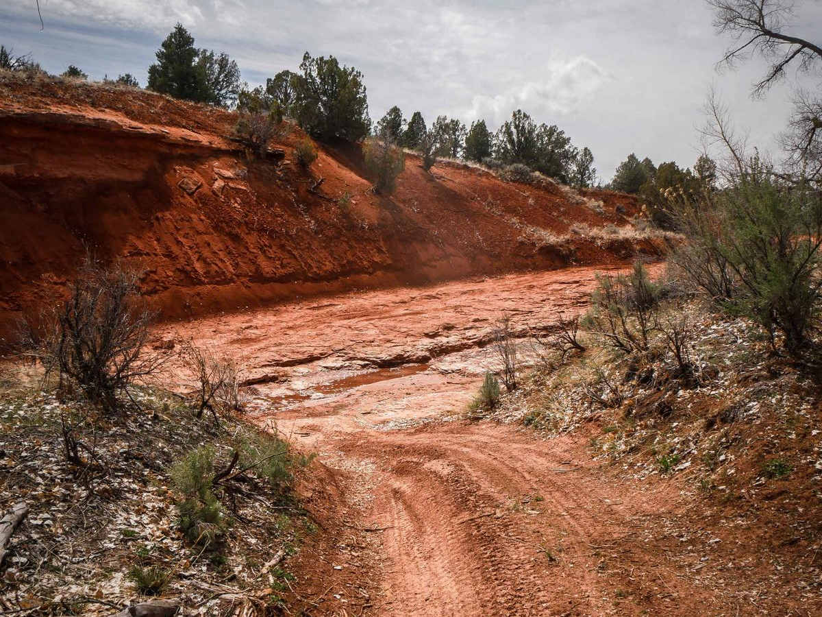 North Fork Whiskers Draw trail photo