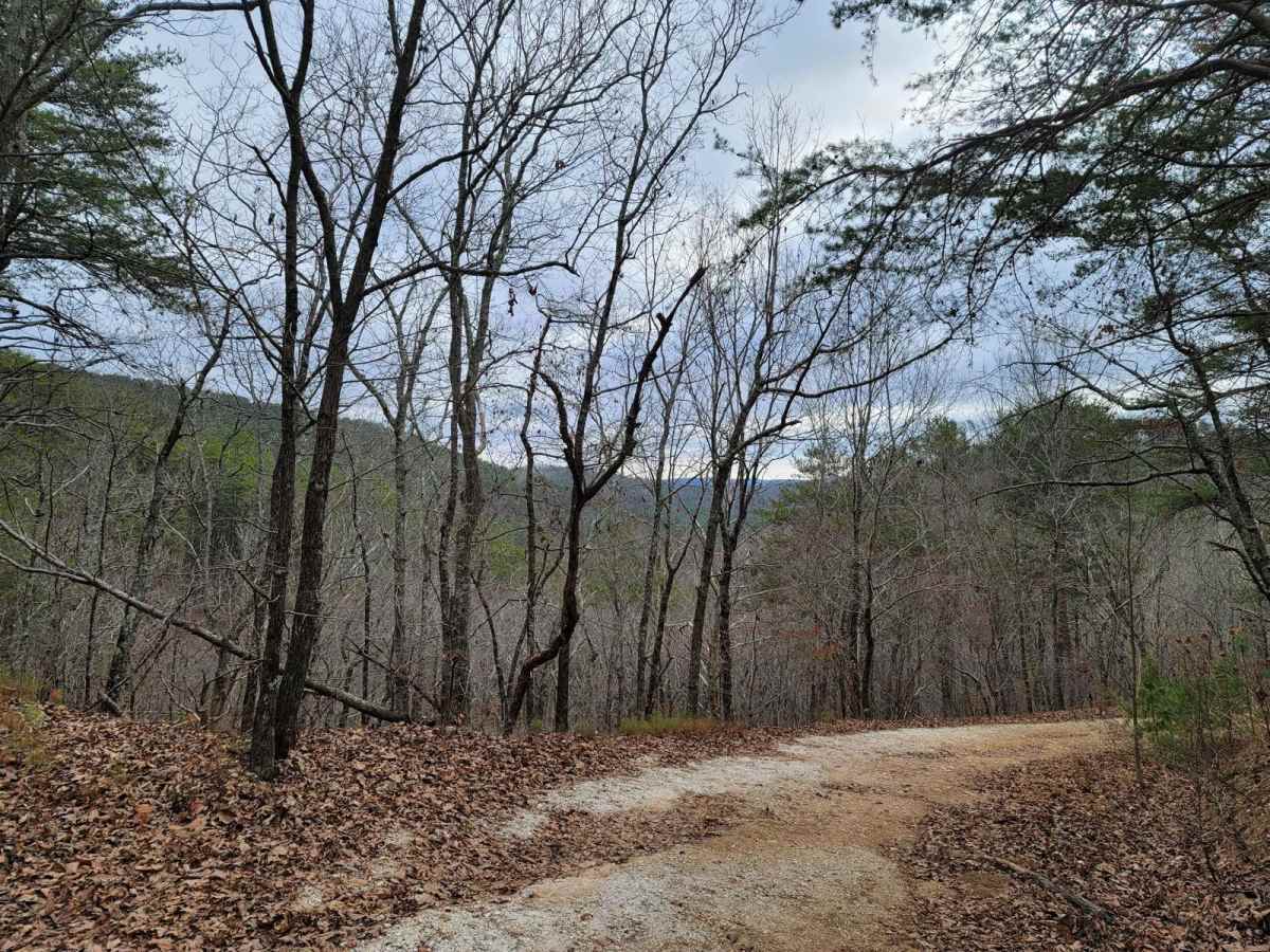 Kings Gap Mountain Road photo 4