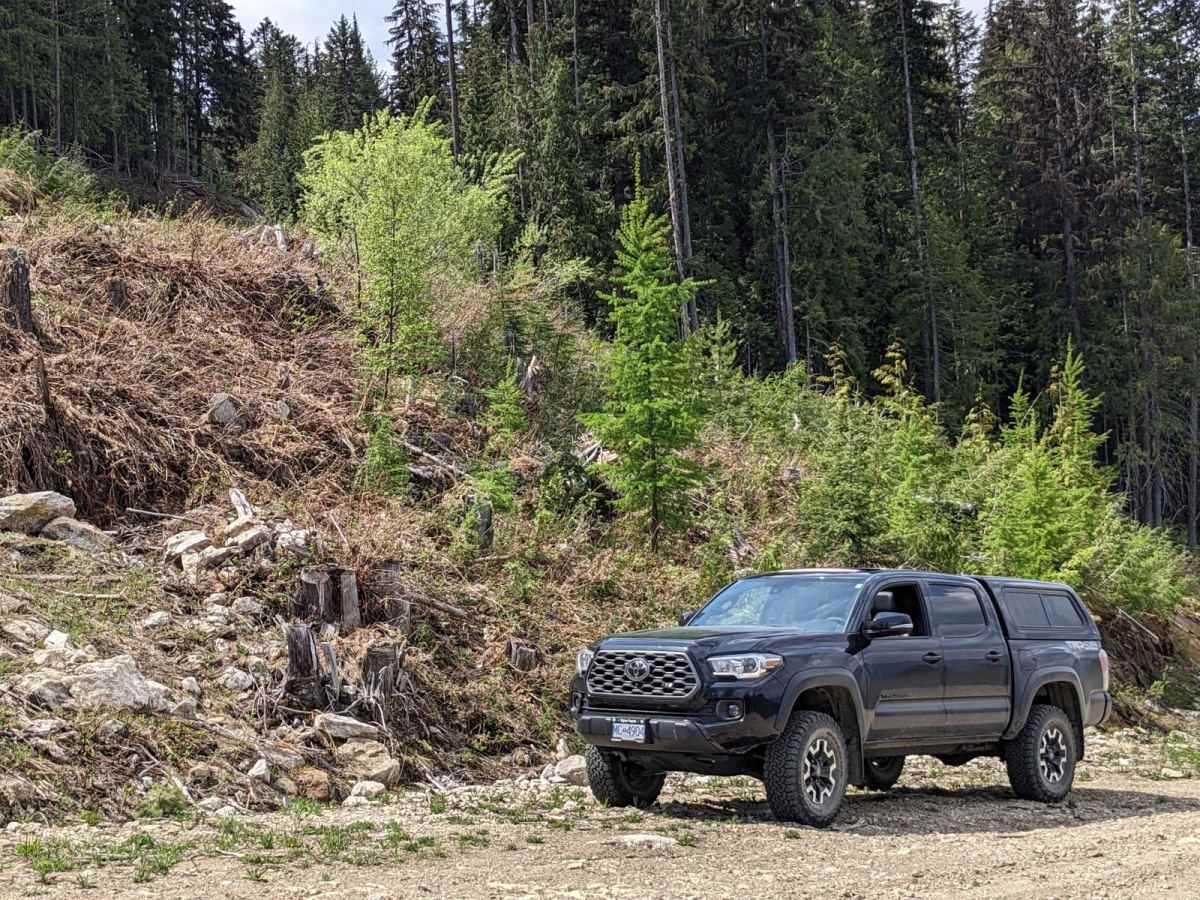 Loki Mountain Trail Head photo 4