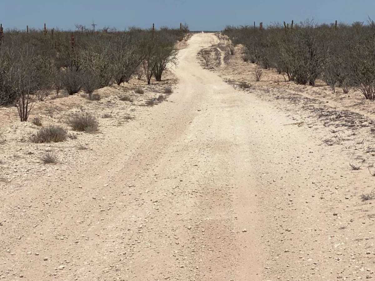 Lomita Amarilla North photo 6