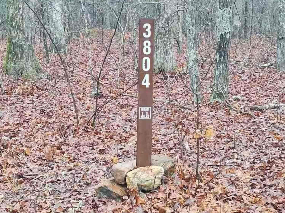 Hammerhead FSR 3804 trail photo