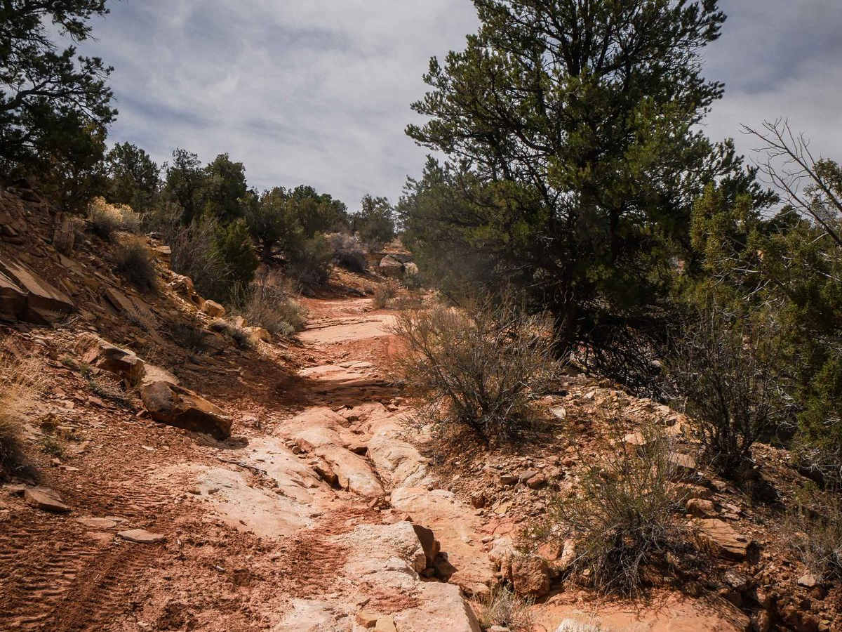 Shumway Mines photo 3