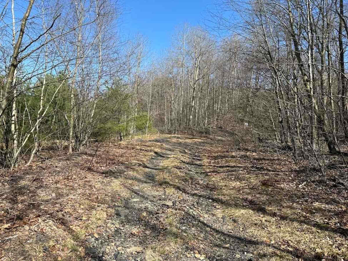 St. Keirns 88 trail photo