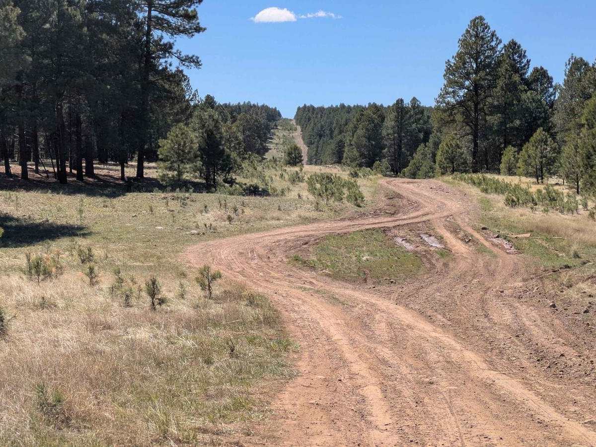 FS 518C Cutoff trail photo