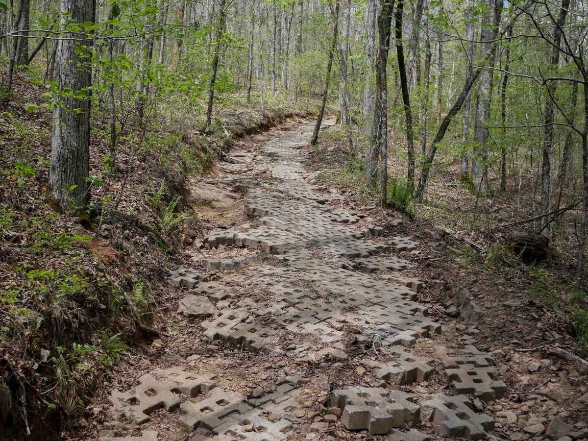 Gap Hollow Spur South 1 trail photo