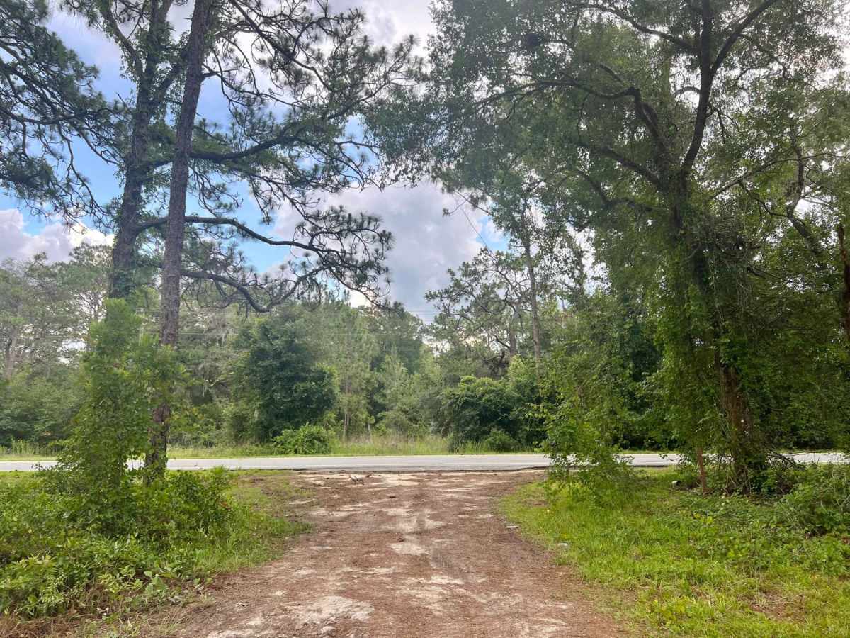 Ocala National Forest | Trail 314A-5.7 photo 6