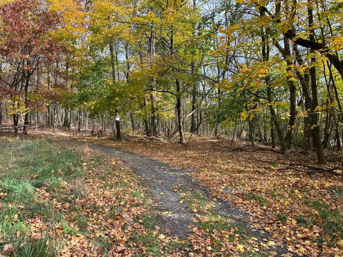 Ashland 151 trail photo