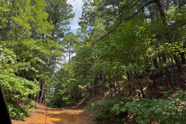 Old Camp Road
