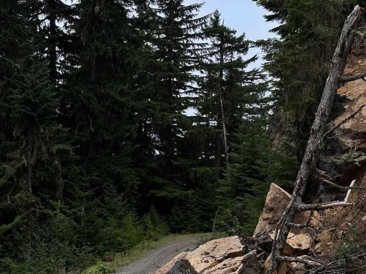 Echo Lake Road - NF 7220 photo 6