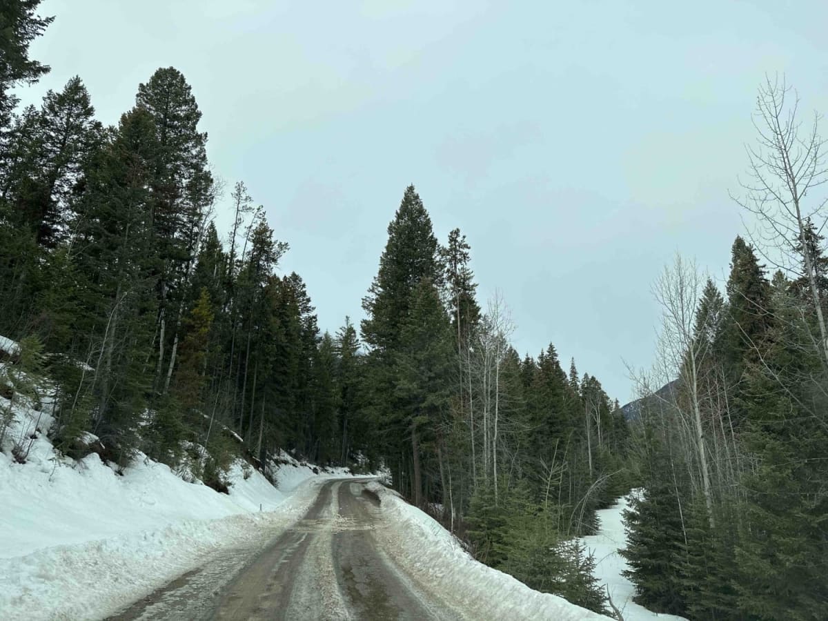 Forester Creek to Snowmobile Parking photo 3