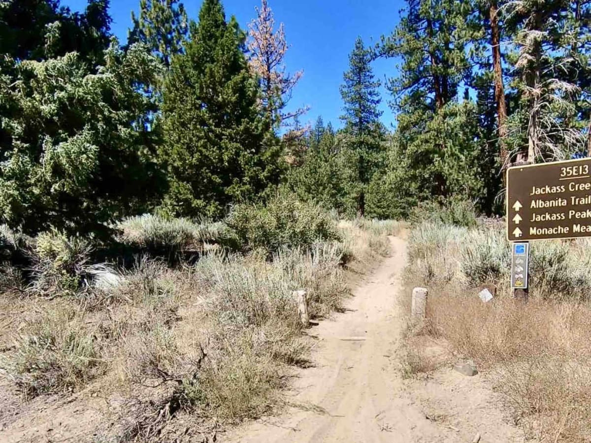 Jackass Creek trail photo