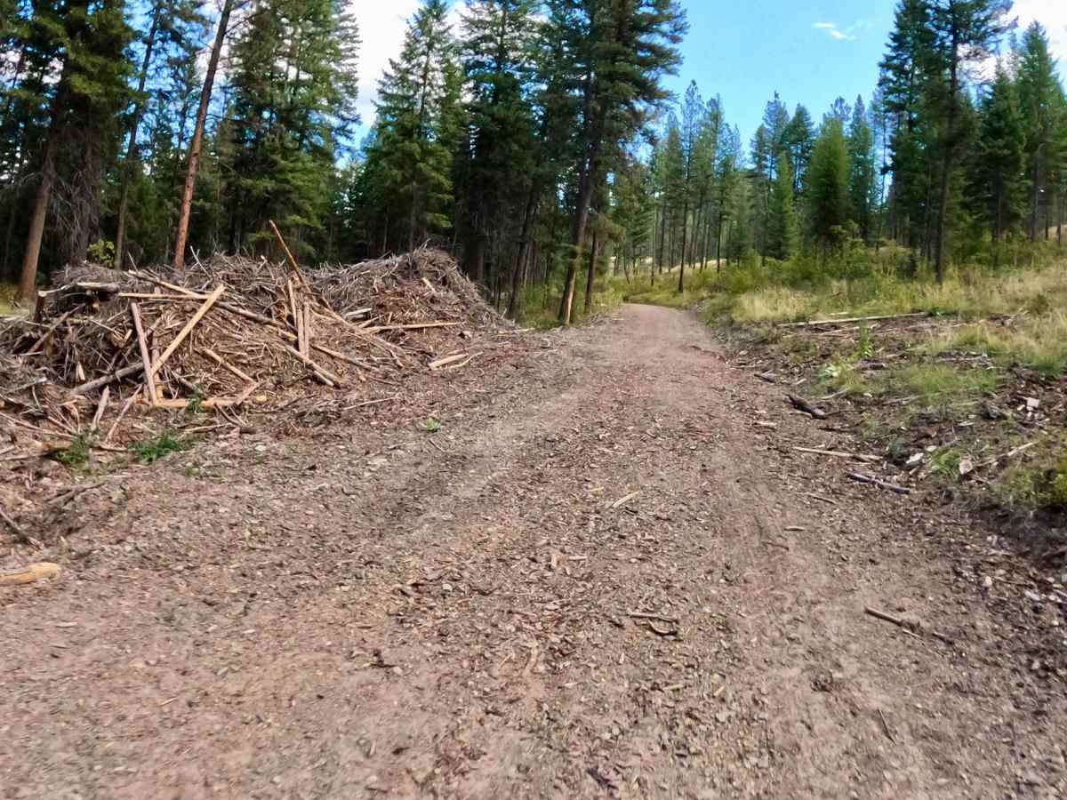 Second Creek Road-Eddy Creek Road 4 Corner photo 5