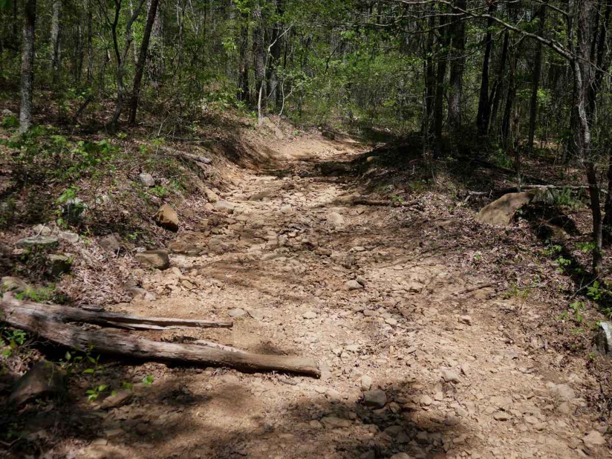 Black Oak Ridge Loop photo 3