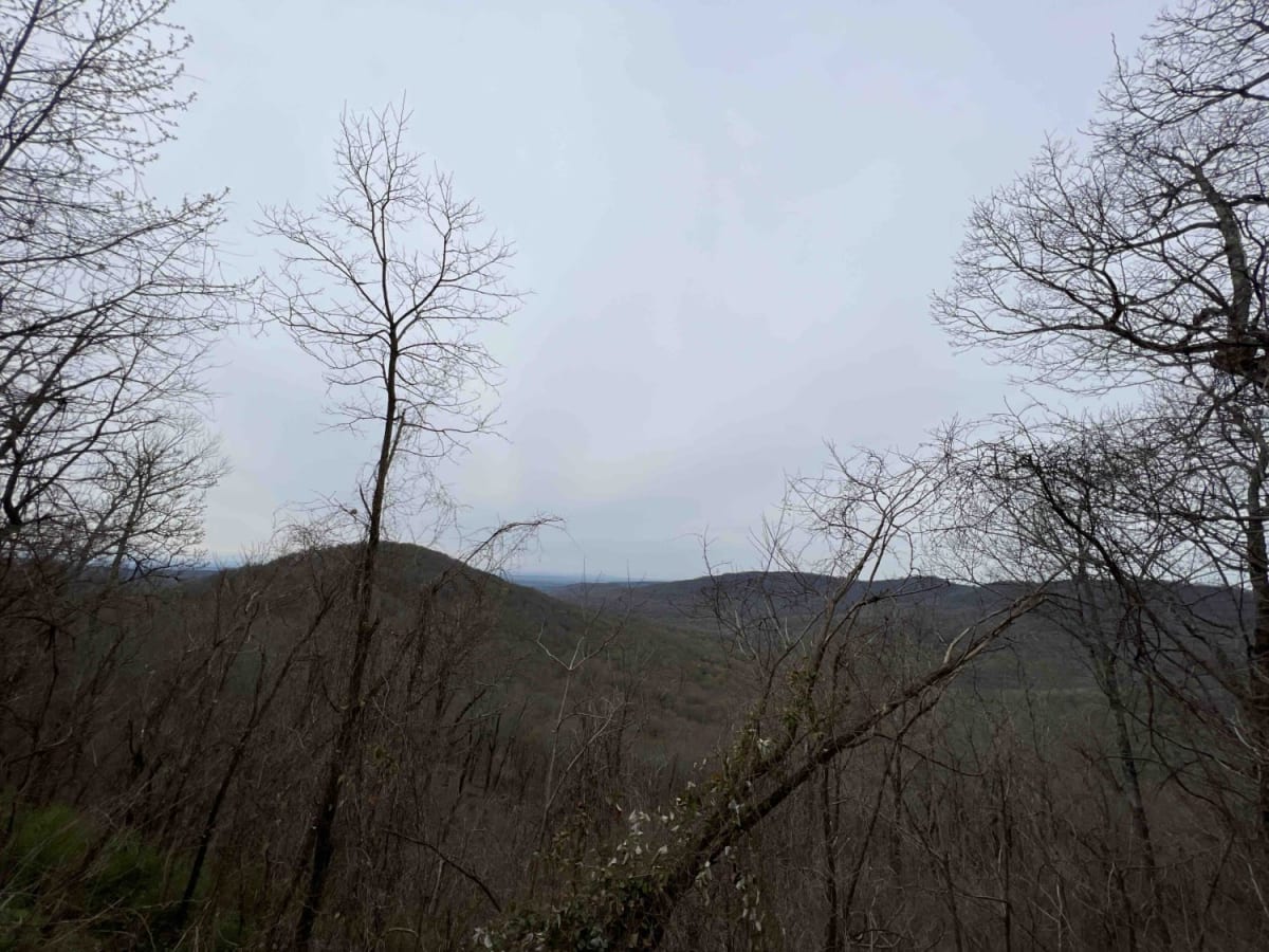 Potato Knob 1510 photo 3