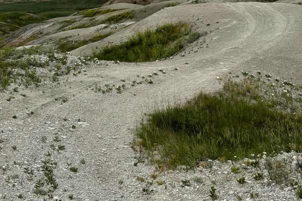 Bear Creek Spur
