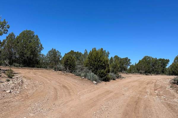 Bd Wash Access Road