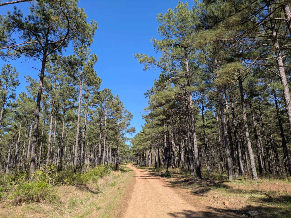 Anderson Trail trail photo