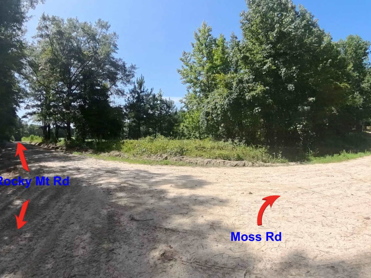 Moss Road photo 2